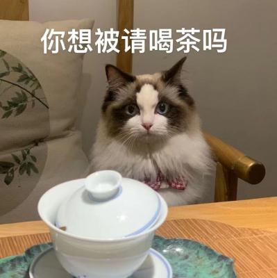 喝茶