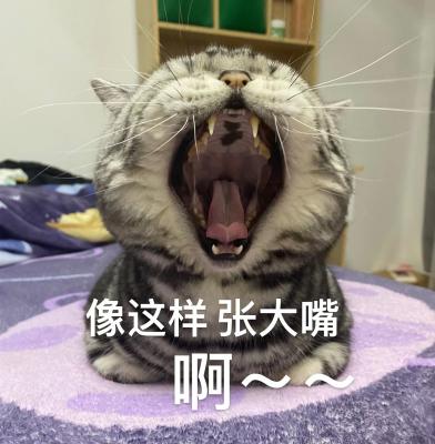 做核酸