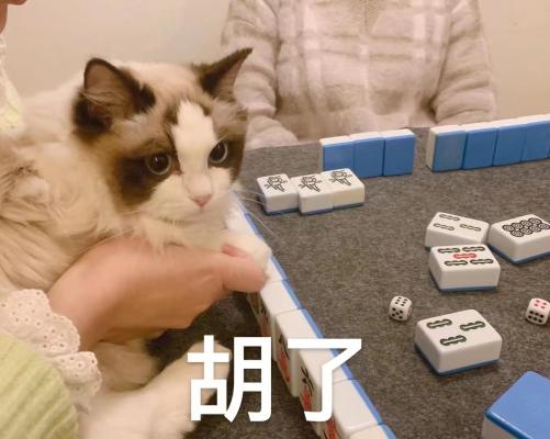 胡了