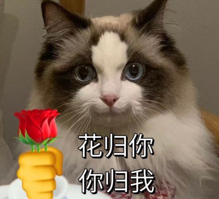 爱你