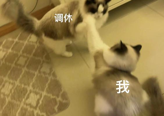 调休