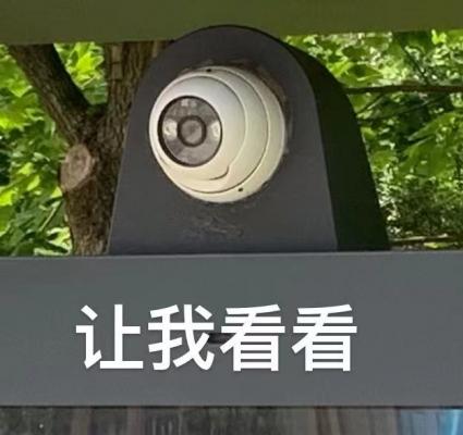 让我看看