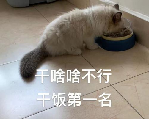 吃饭