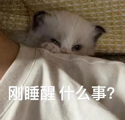 疑问