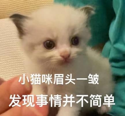 思考