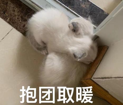 抱团取暖