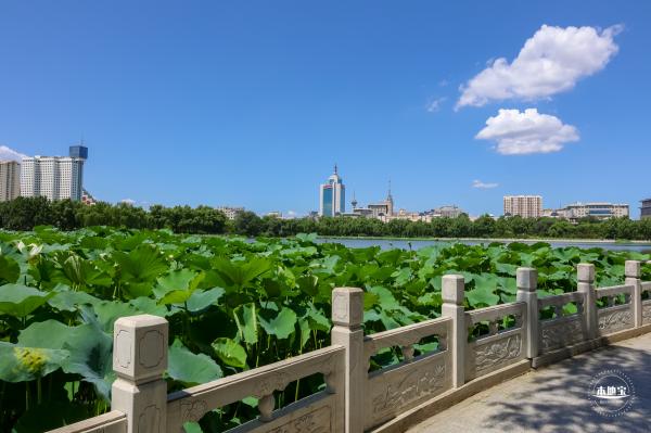 莲花池公园