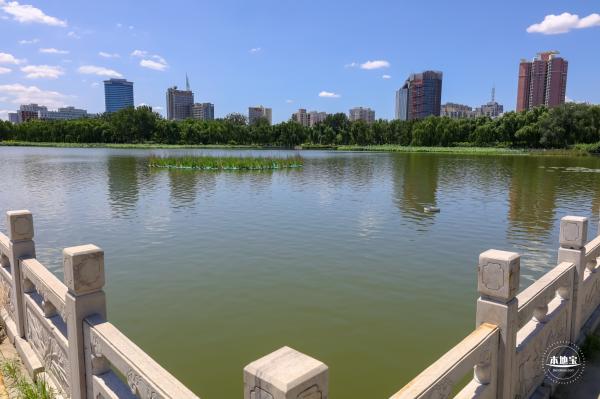 莲花池公园