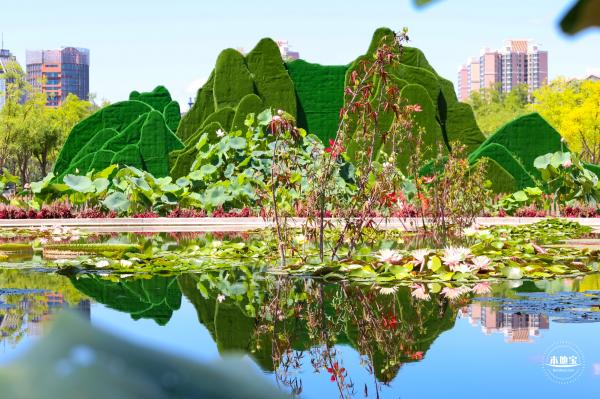 莲花池公园