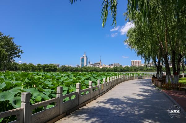 莲花池公园