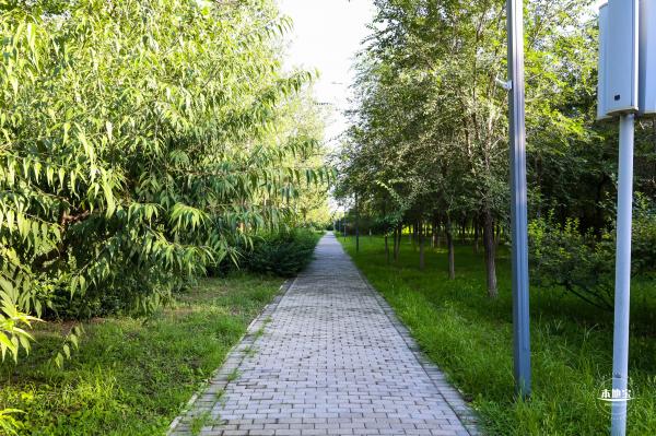 太平郊野公园