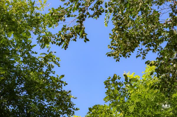 东小口森林公园