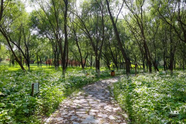 东小口森林公园