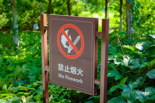东小口森林公园