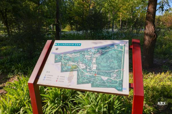 东小口休闲公园