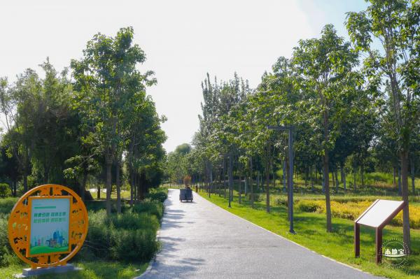 东小口休闲公园