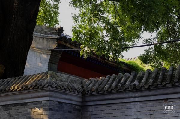 南锣鼓巷