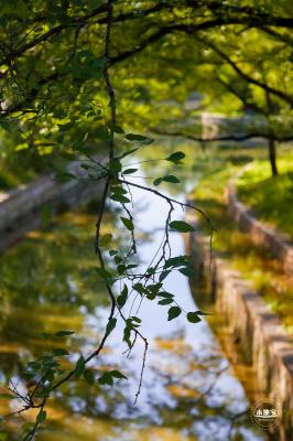 龙潭中湖公园