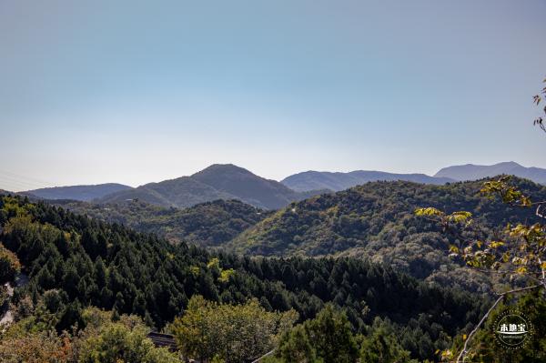 百望山森林公园