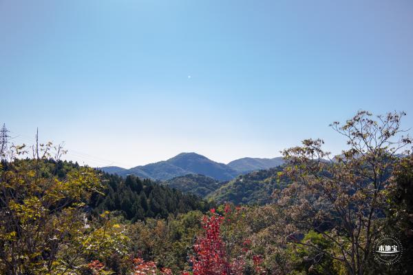 百望山森林公园