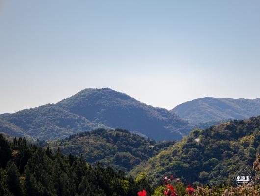 百望山森林公园