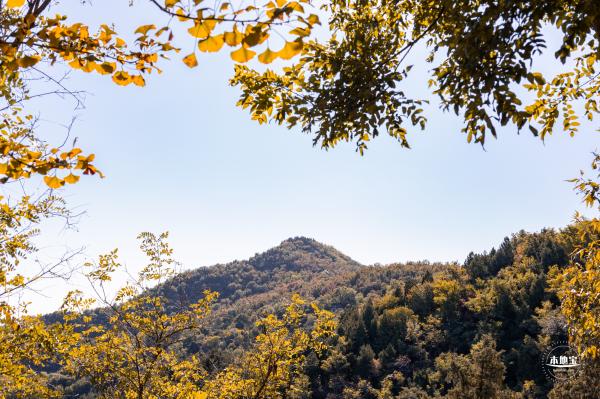 百望山森林公园