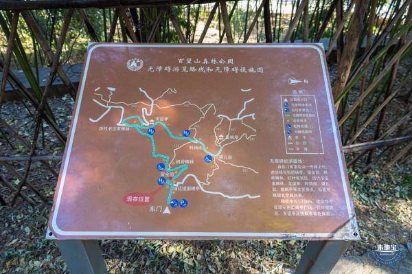 百望山森林公园
