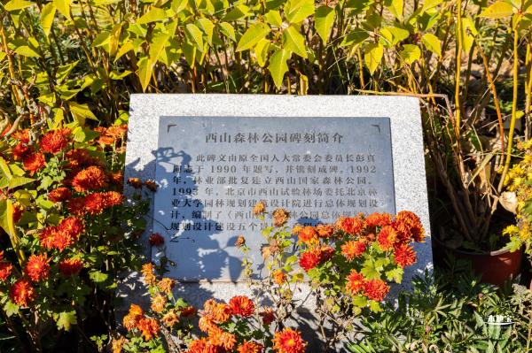 百望山森林公园