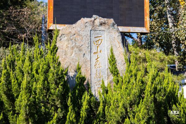 百望山森林公园