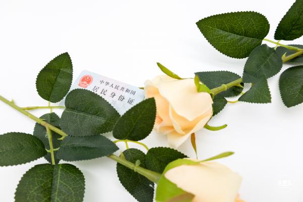 社保卡身份证