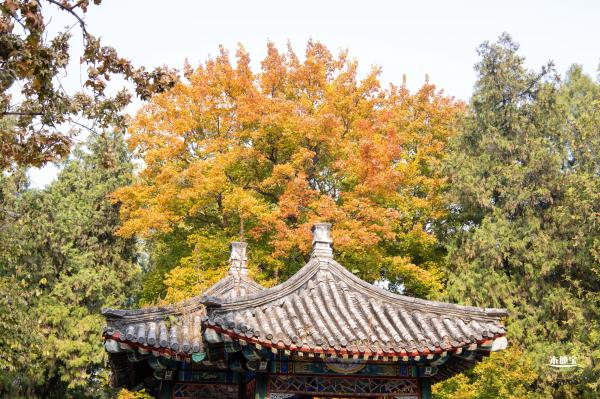 地坛公园