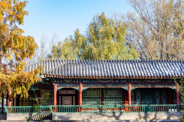 中山公园（雪）