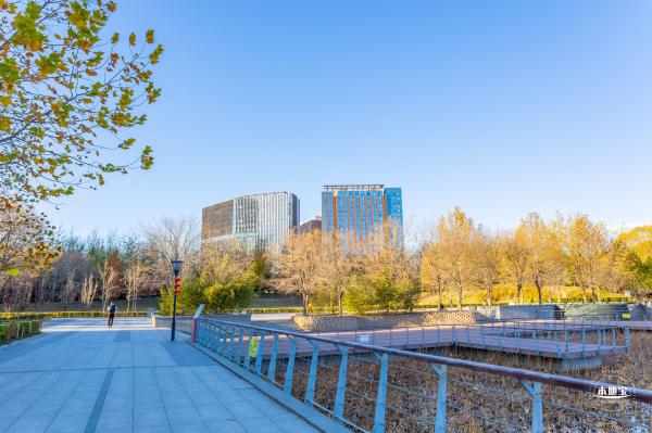 大望京公园