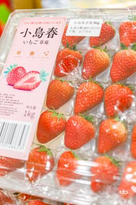 成都采编
