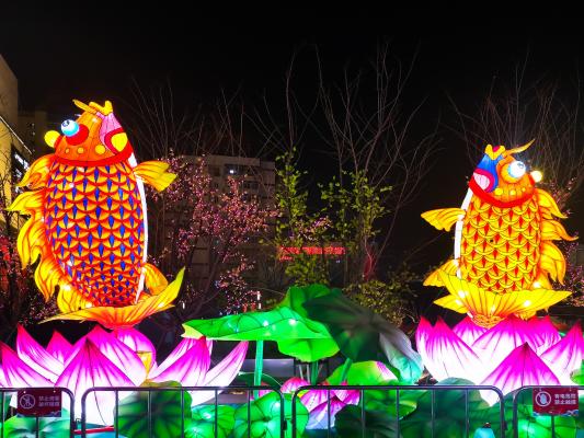 花灯（2022）北京