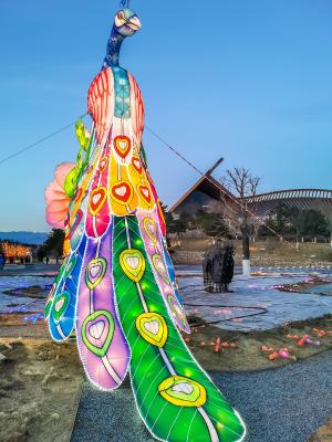 花灯（2022）北京