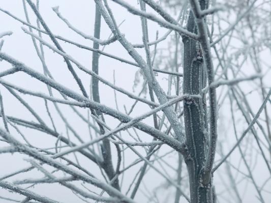 雪（内蒙古篇）