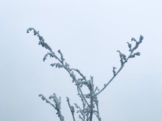 雪（内蒙古篇）