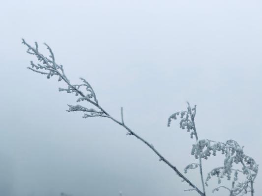 雪（内蒙古篇）