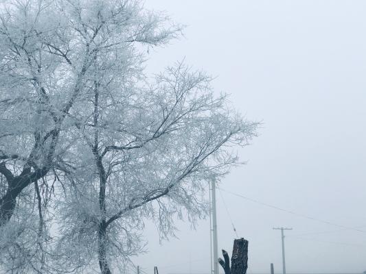 雪（内蒙古篇）
