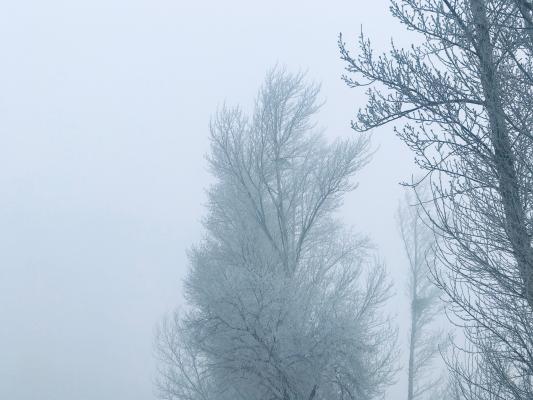 雪（内蒙古篇）