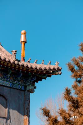 庙会（内蒙古篇）