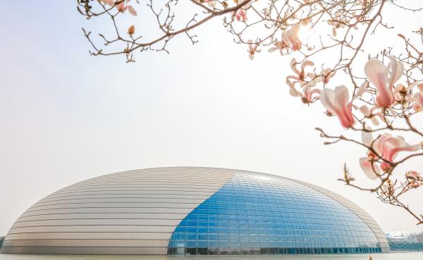 国家大剧院（玉兰花篇）