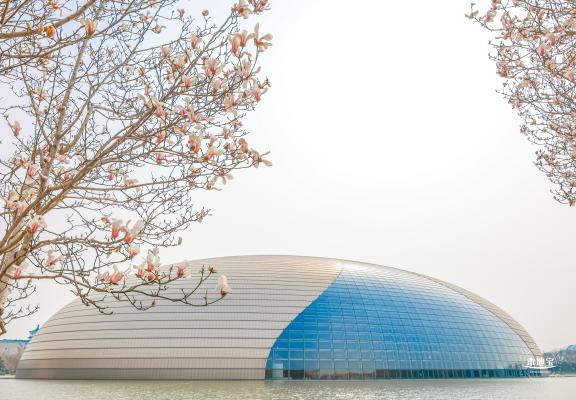 国家大剧院（玉兰花篇）
