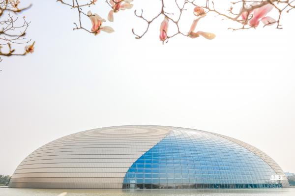 国家大剧院（玉兰花篇）