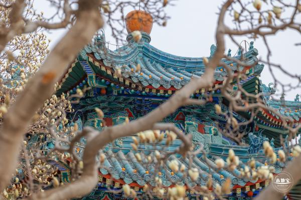 中山公园（春）