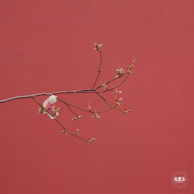 故宫博物院东华门外墙
