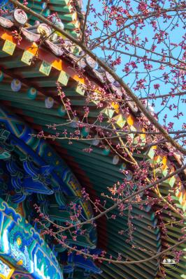 景山公园