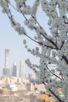 景山公园
