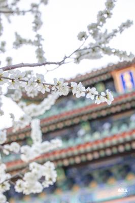 景山公园